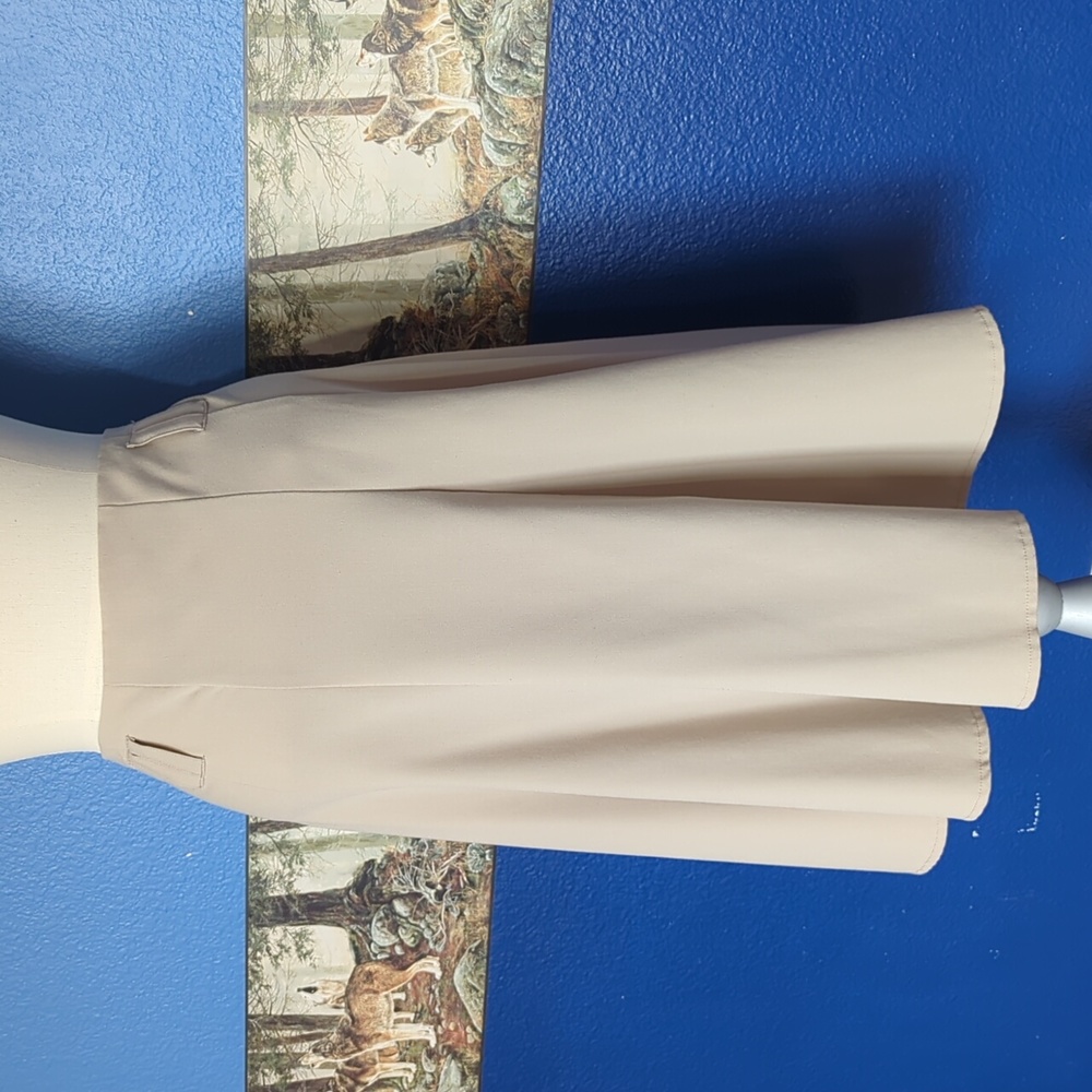 Dress Barn skirt